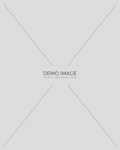 demo-img-3